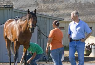 Quality Road and Todd Pletcher - 8/29/10 Quality Road and Todd Pletcher - 8/29/10